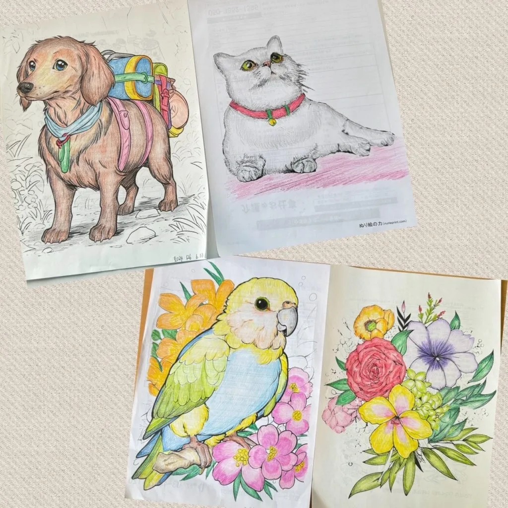 塗り絵部活躍 かなやまの里デイサービス