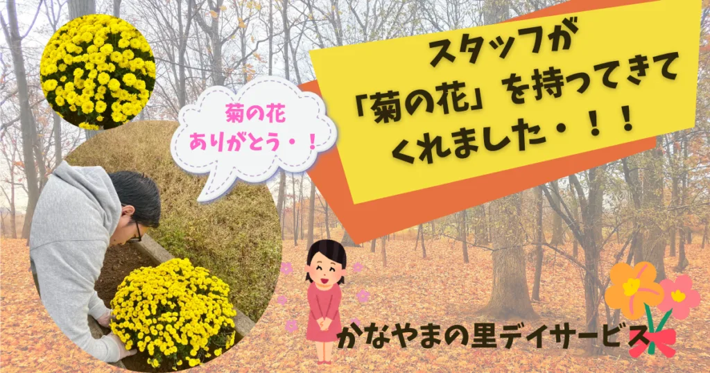 菊の花 かなやまの里デイサービス