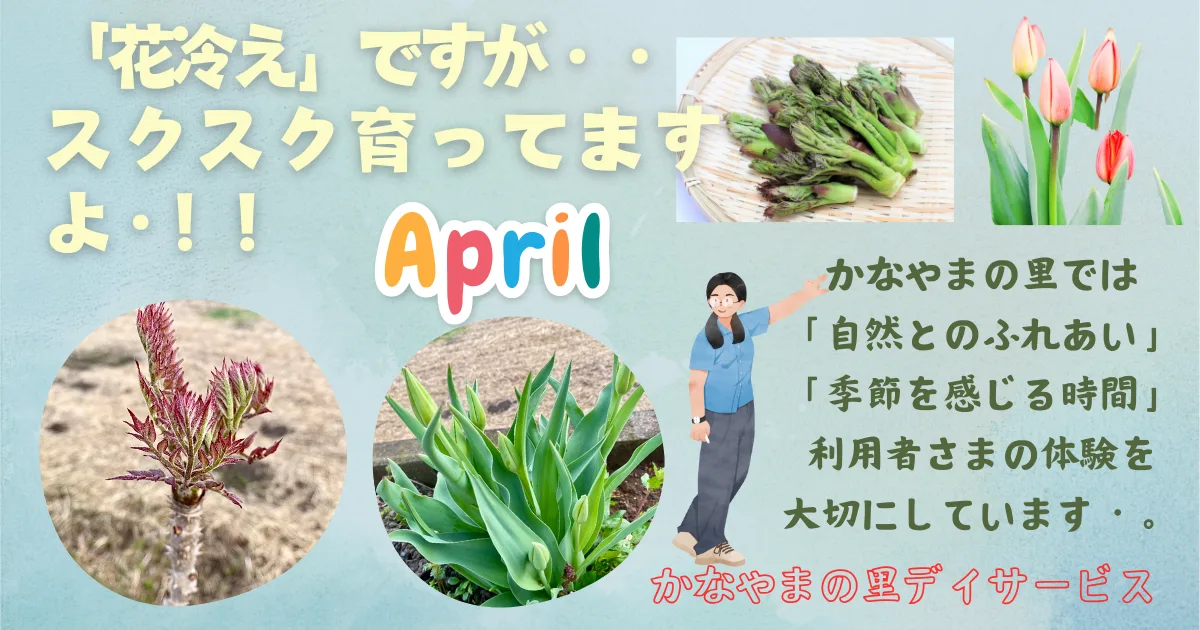 花冷え かなやまの里