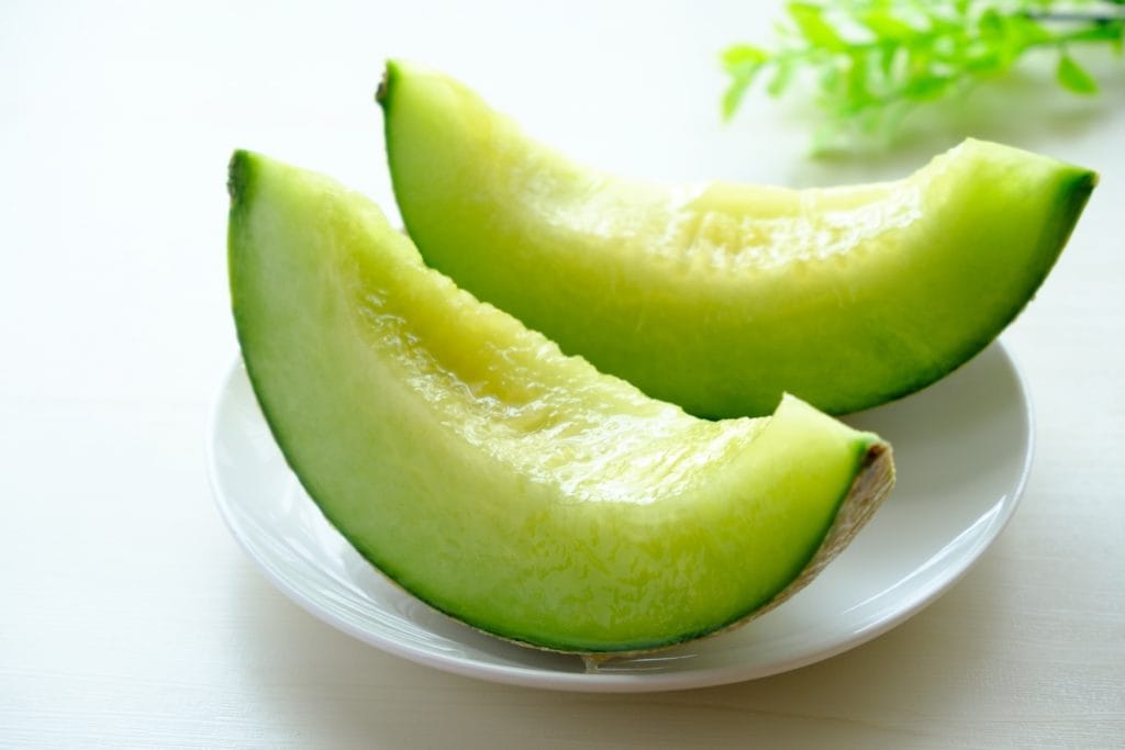 差し入れのメロン