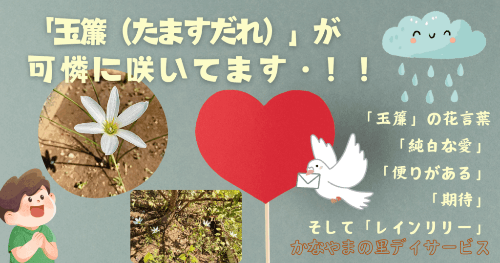 玉簾　たますだれ