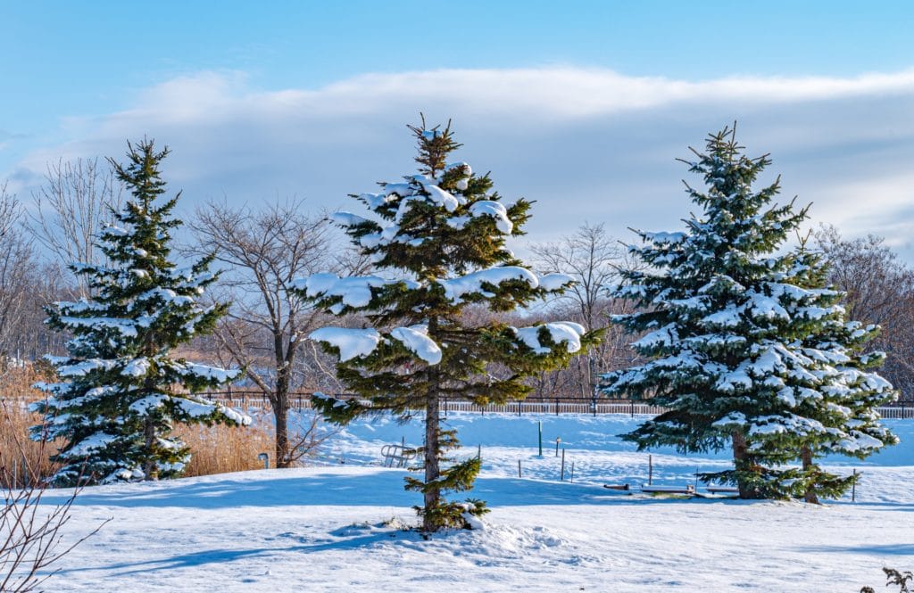 １１月のお習字テーマ
