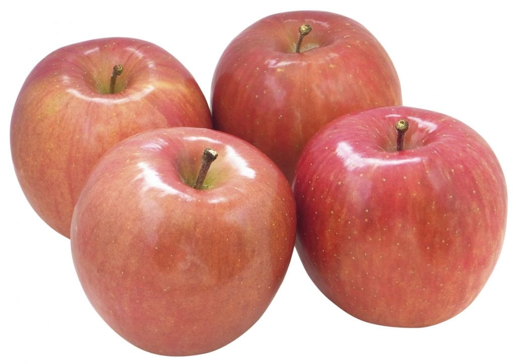 １１月のお習字テーマ